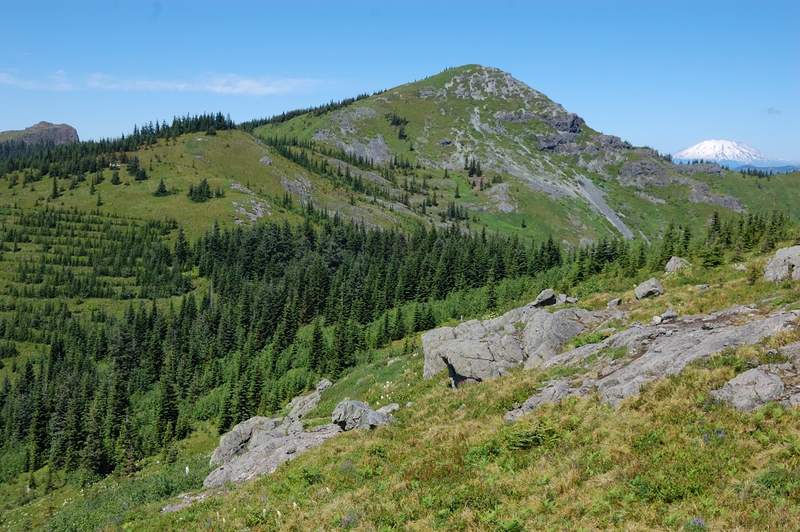 South side of the mountain