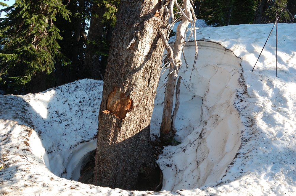 This is at viewpoint above Lake Wapiki. Note my oversized skiing poles (on the right) which are about 4 feet long.