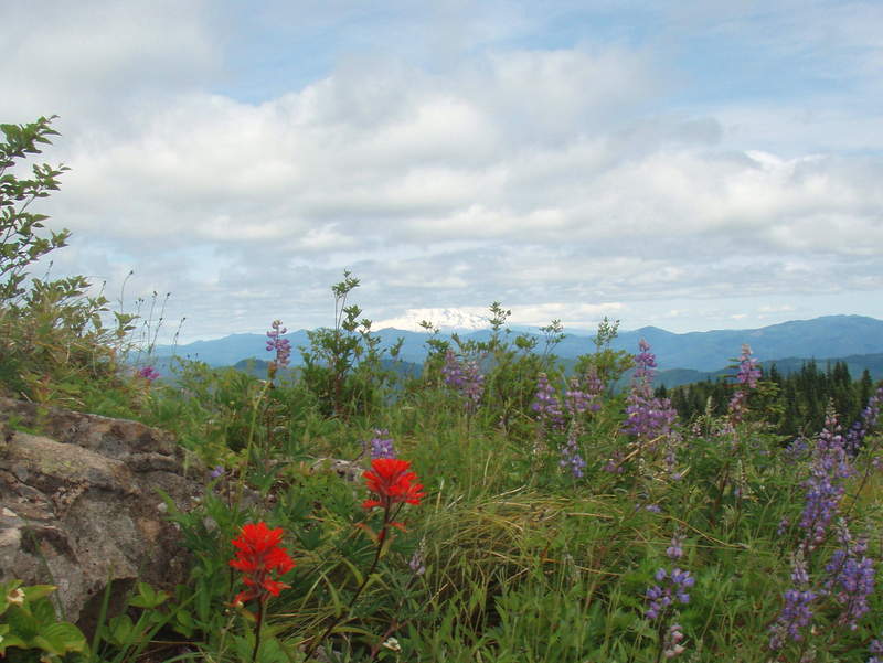 small slice of Klickitat visible