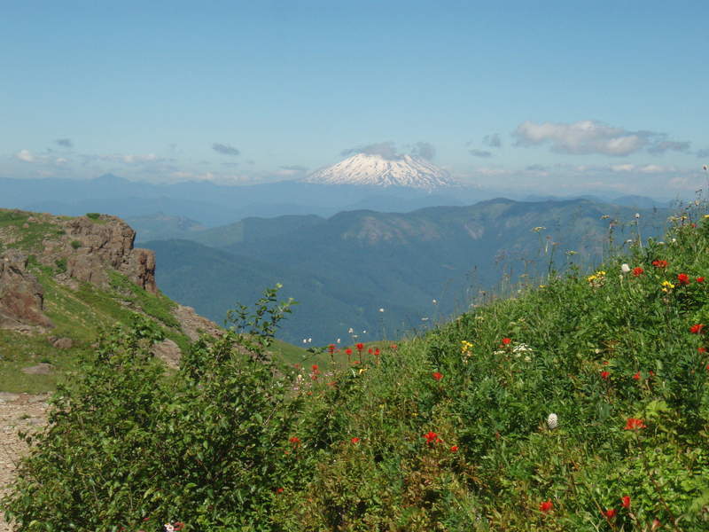 Mt St Helens