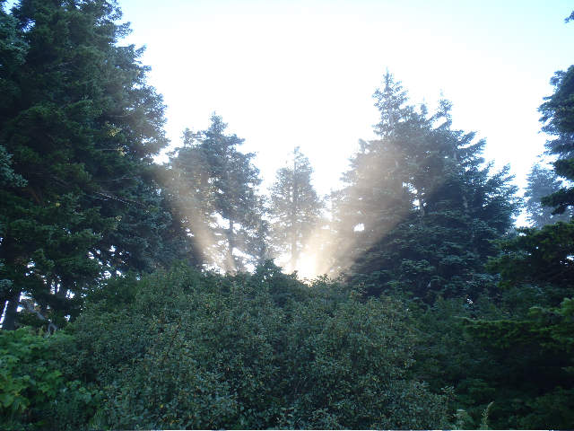 Sun rays, made it to the top of lap 1 in 1 hour and 25 minutes...