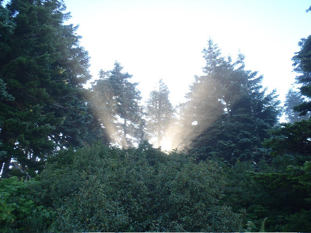 Sun rays, made it to the top of lap 1 in 1 hour and 25 minutes...
