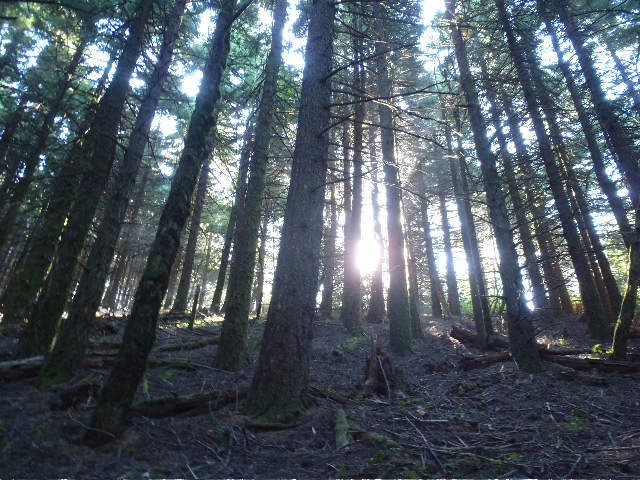 Another sun ray shot by Mayhem...