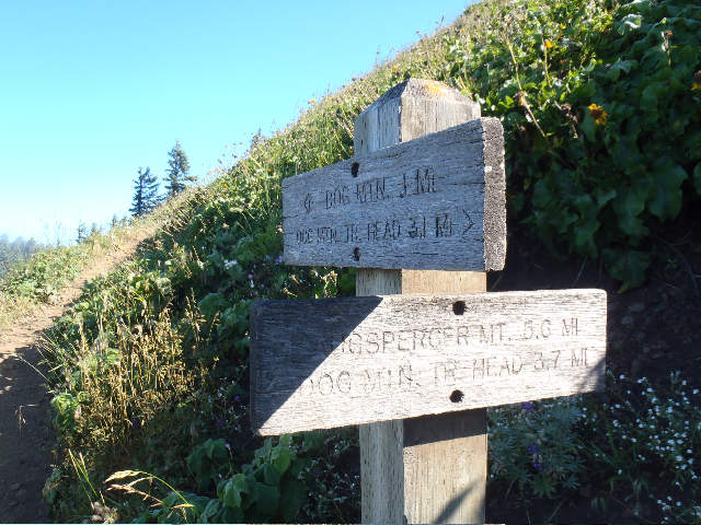 Some sort of junction signage...