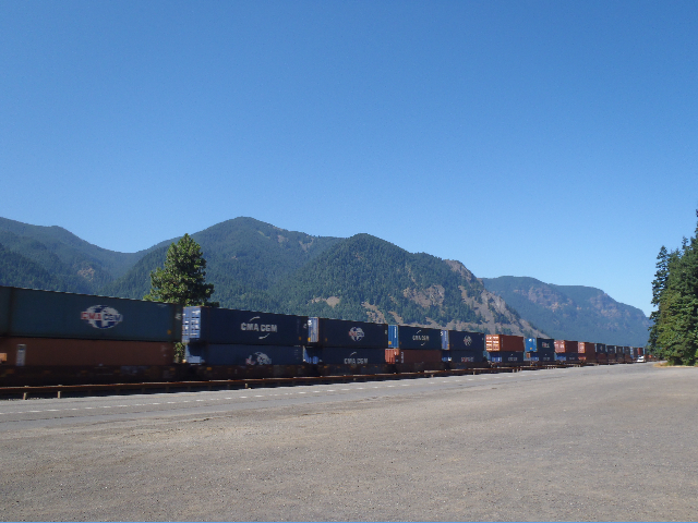 A train went by so Mayhem wanted to document it...