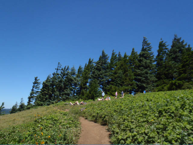 More and more normal sane hikers enjoying the Dog summit...