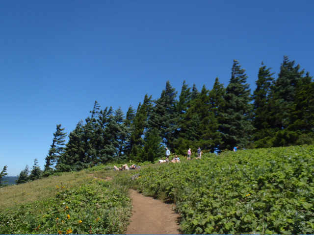 More and more normal sane hikers enjoying the Dog summit...