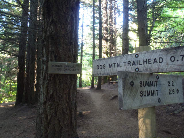 The famous 'Thank God Junction', means that first 800' or so of hot rocky climb is over, Justin's favorite part of Dog MT. too...