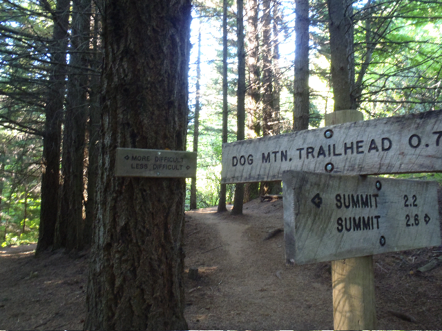 The famous 'Thank God Junction', means that first 800' or so of hot rocky climb is over, Justin's favorite part of Dog MT. too...