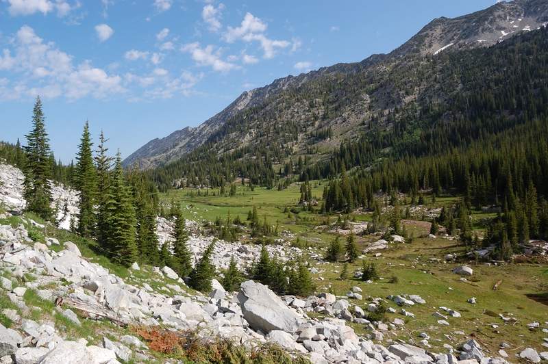 Meadows along E Fork Lostine River