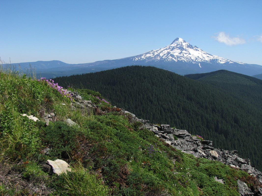 From Chinidere's summit