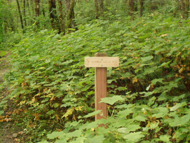 New sign to Elowah Falls