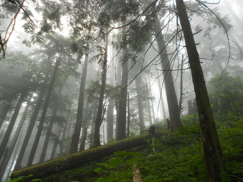 It was somewhat socked in under 2800' and finally broke up around this picture...