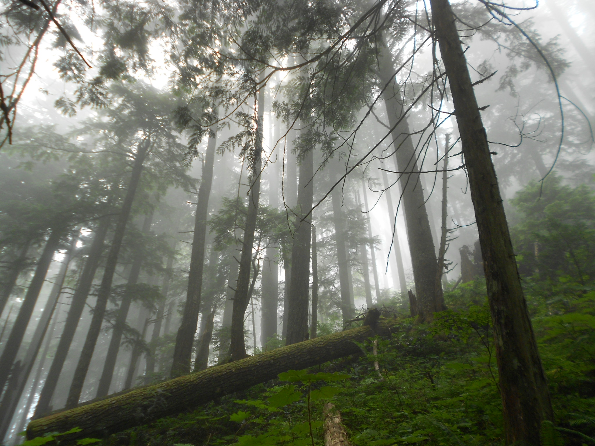 It was somewhat socked in under 2800' and finally broke up around this picture...