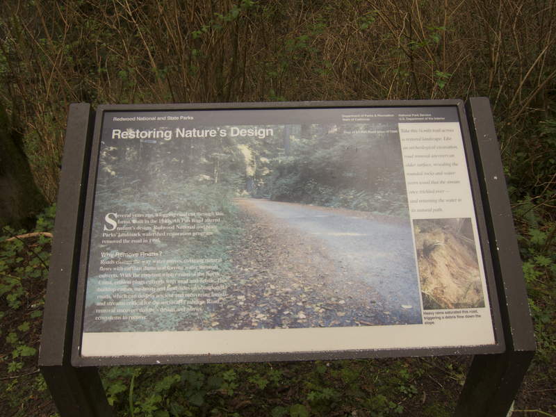 I almost got bored walking more than 10 steps. Thankfully, this placard helped give me a taste of civilization in the woods.