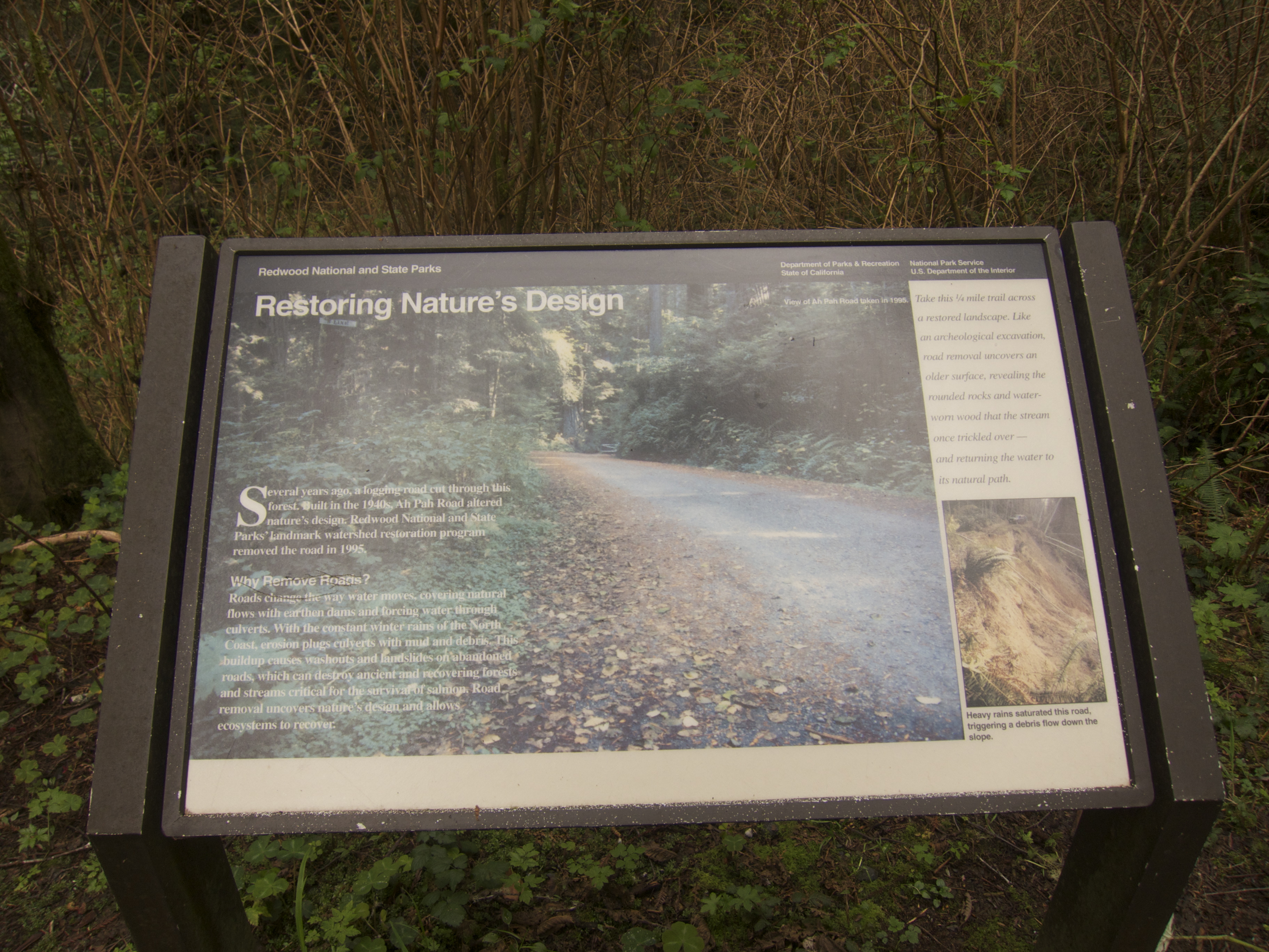 I almost got bored walking more than 10 steps. Thankfully, this placard helped give me a taste of civilization in the woods.