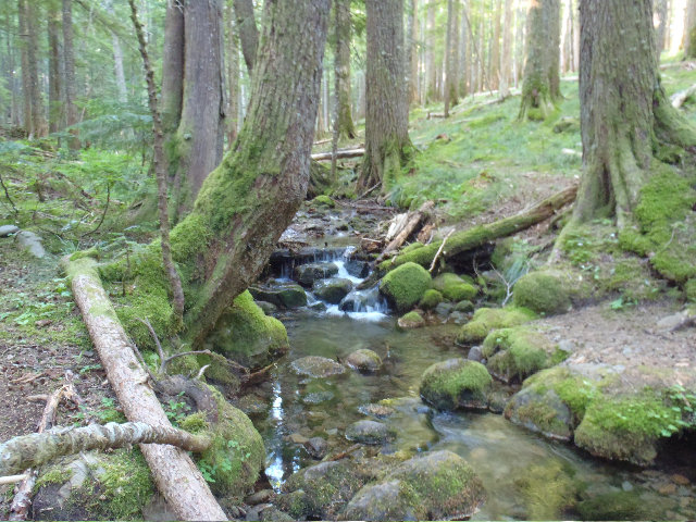 Ruckel Creek still flowing nicely