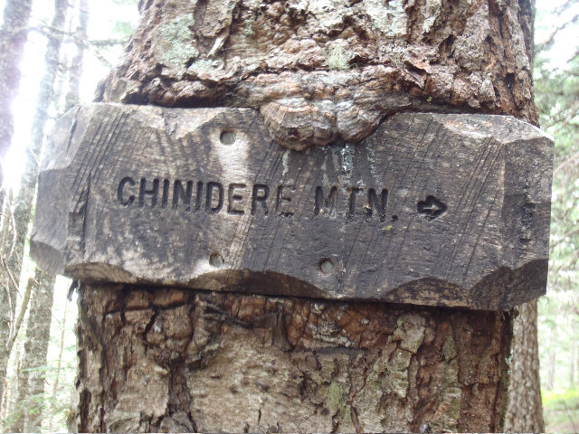 Skinadear MT