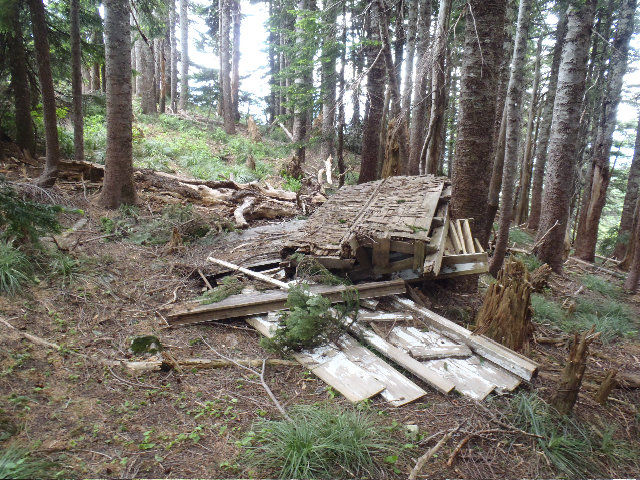 Indian MT structure