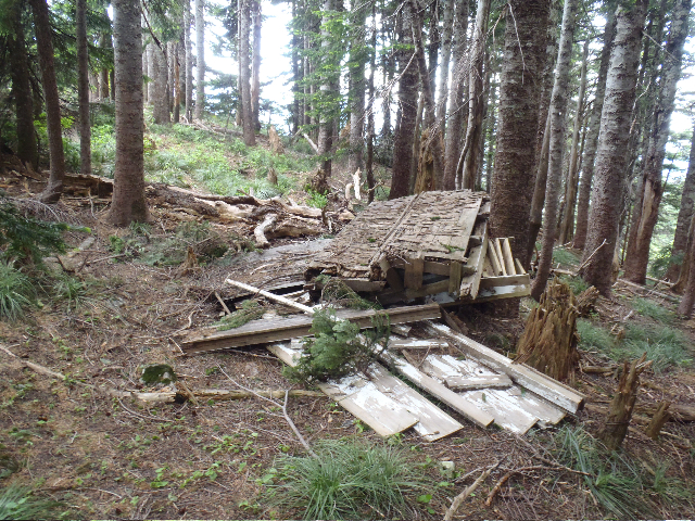 Indian MT structure