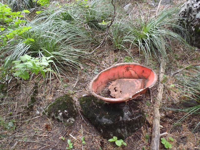 Indian MT artifact