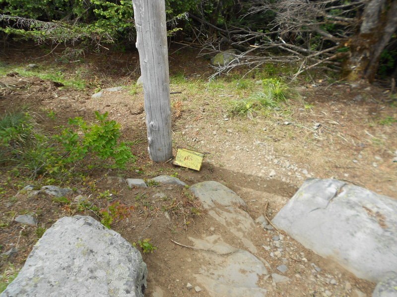 Indian MT army box
