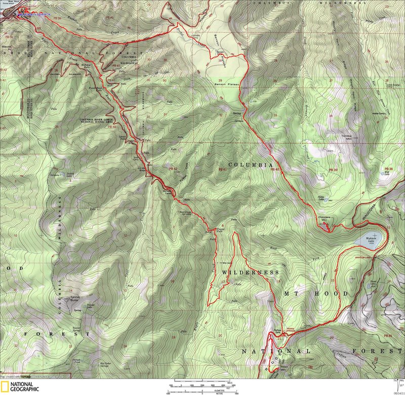 NG Topo of the gtrack