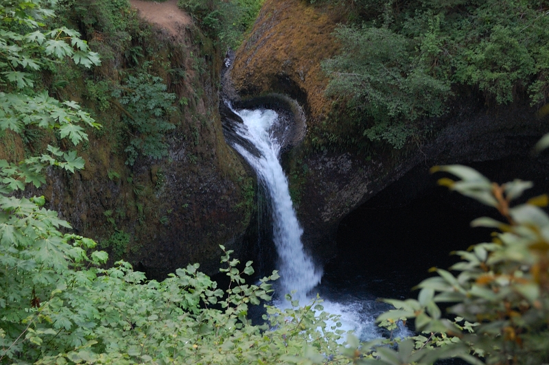 Punchbowl Falls from an overgrown viewpoint