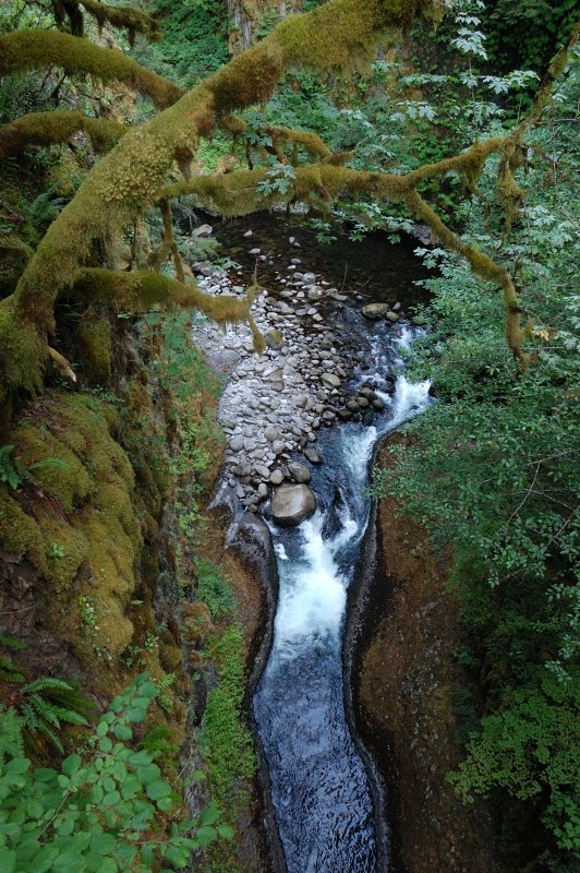 The narrow canyon before the High Bridge