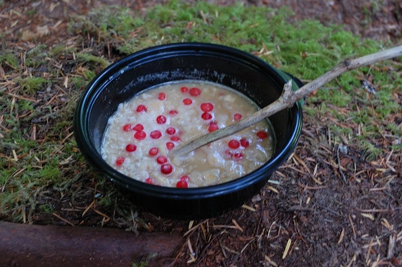 Yep, I forgot my spoon on this trip. Red berries are huckleberries I picked in my camp