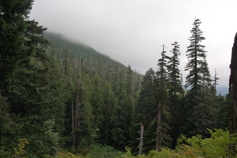 Just as I got to the first views, the weather started to change