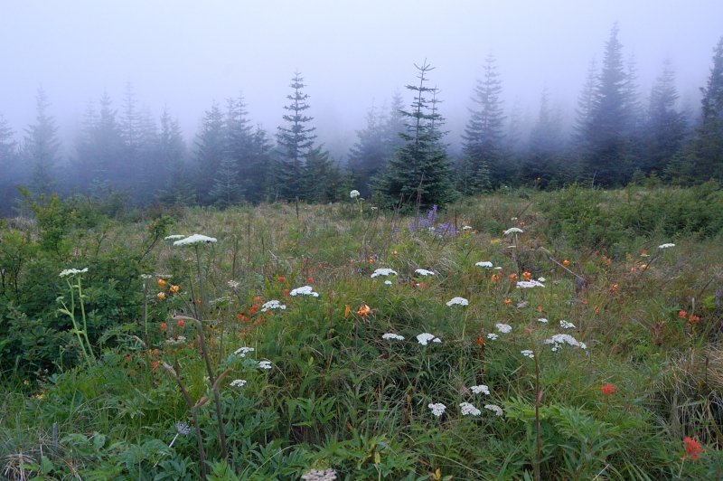 I skipped the climb because the ridge was enveloped in dense clouds.