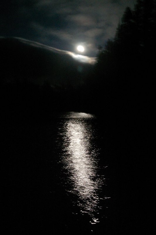 Night view from my camp
