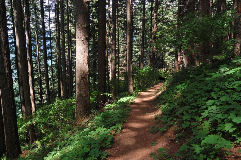 Trail back to the car