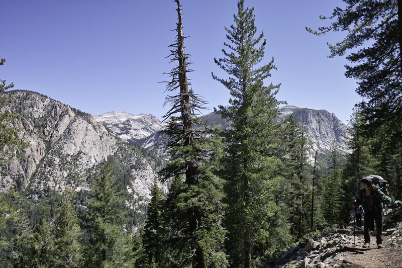 Climbing Bear Ridge