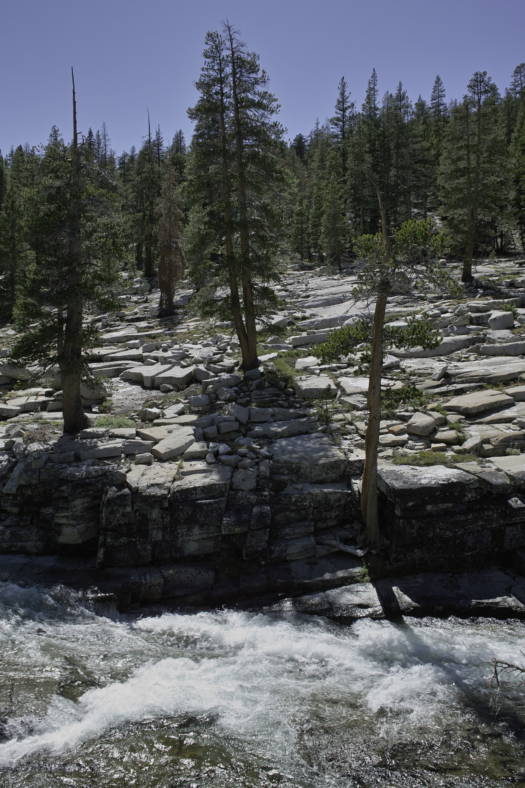 Bear Creek