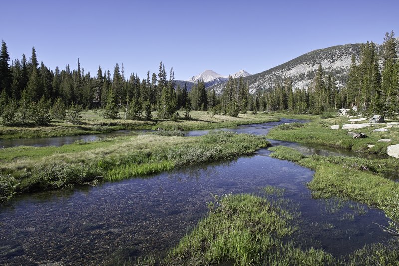 Meadow before Marie Lake
