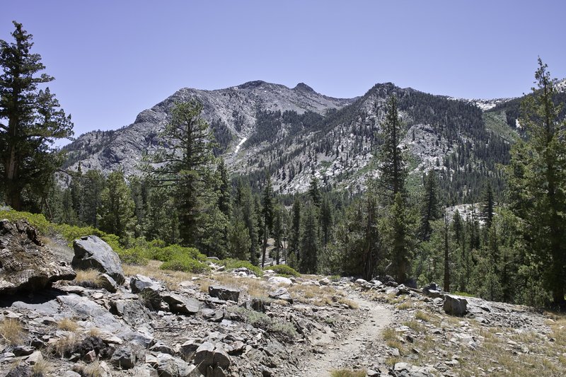 Down into the hot canyon above the San Joaquin River