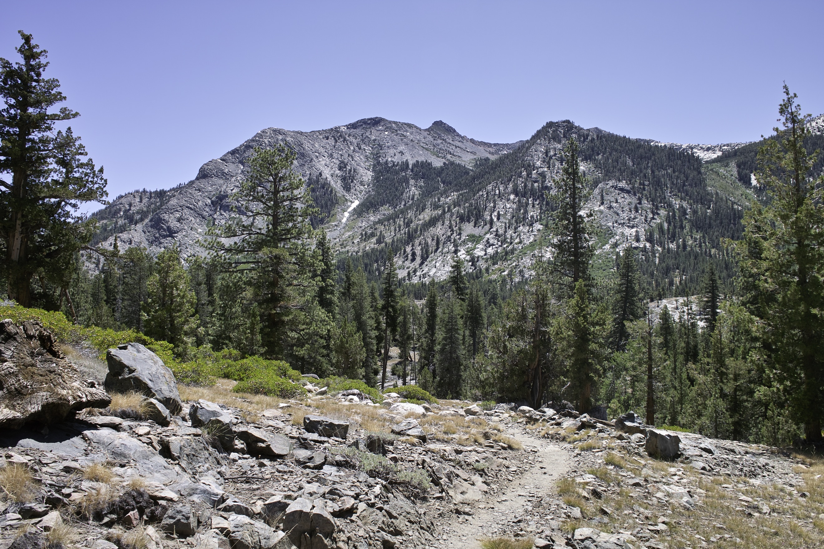 Down into the hot canyon above the San Joaquin River