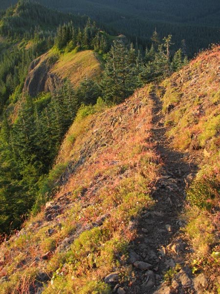 Table's NW ridge trail (not maintained)