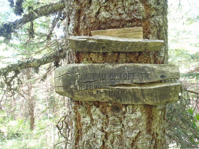 Signage by Mayhem
