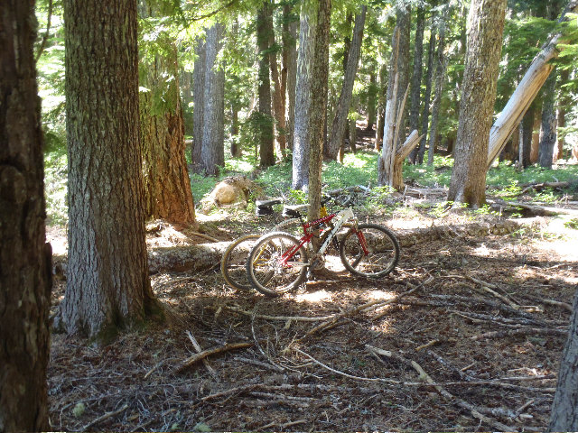 Hikers bikes that we saw last week as well, by Mayhem