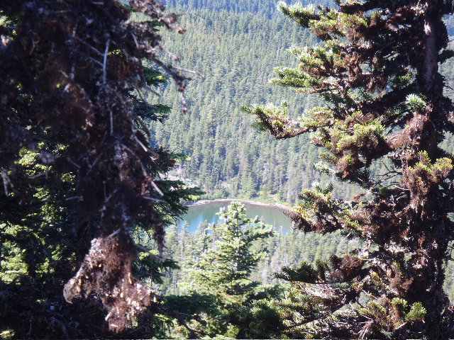 Bear Lake on way down rom Defiance, by Mayhem