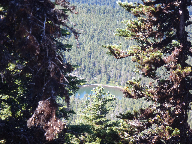 Bear Lake on way down rom Defiance, by Mayhem