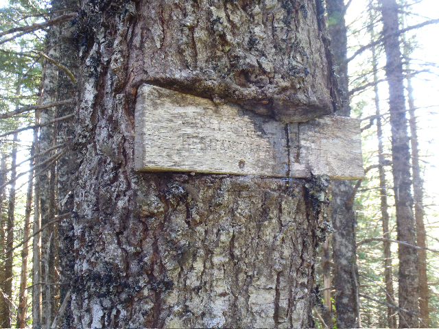 Casey Creek signage by Mayhem