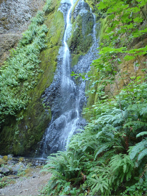 Waterfall towards end of hike by Mayhem