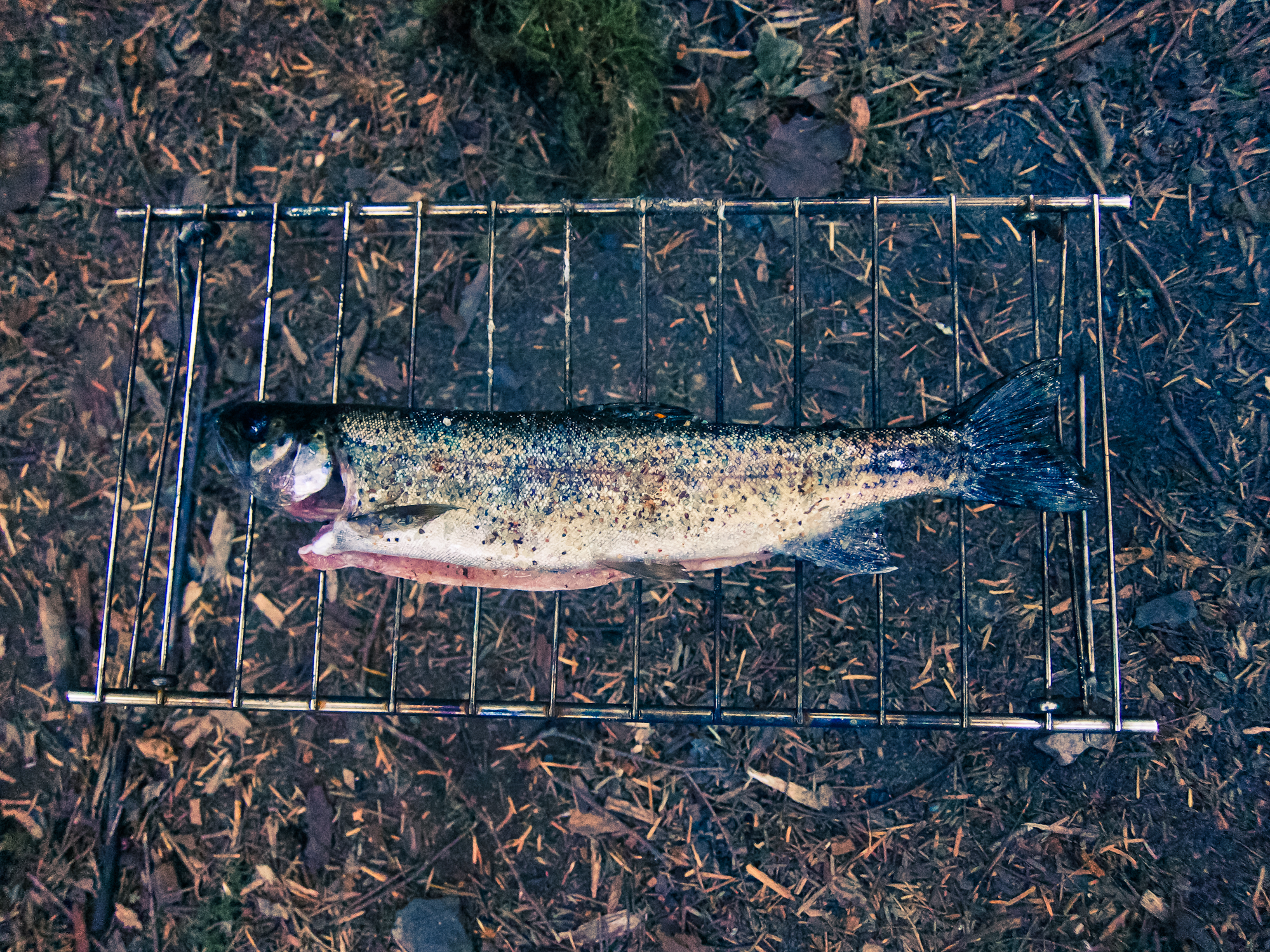 Ready for the grill