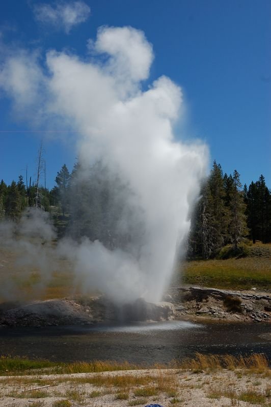 Eruption of Riverside Geyser