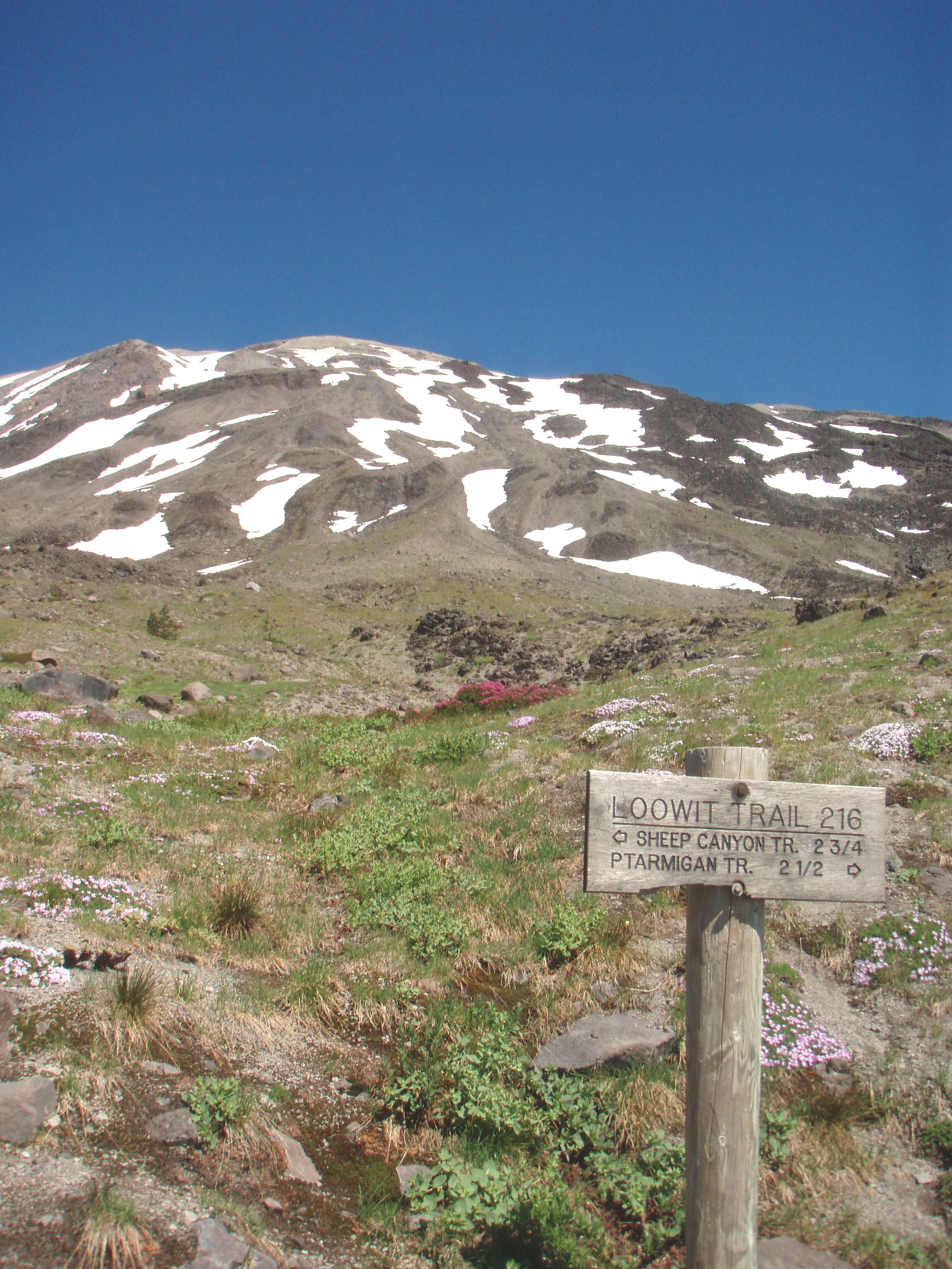 Junction at Butte Camp Trail