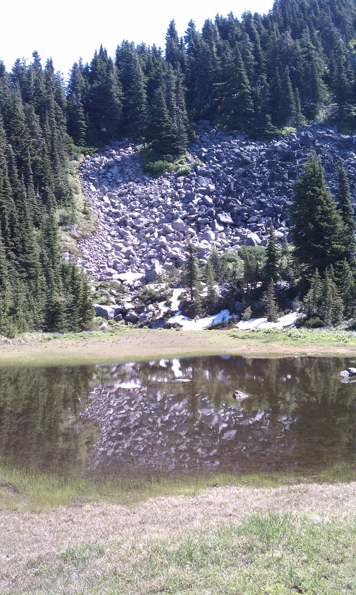 Pond